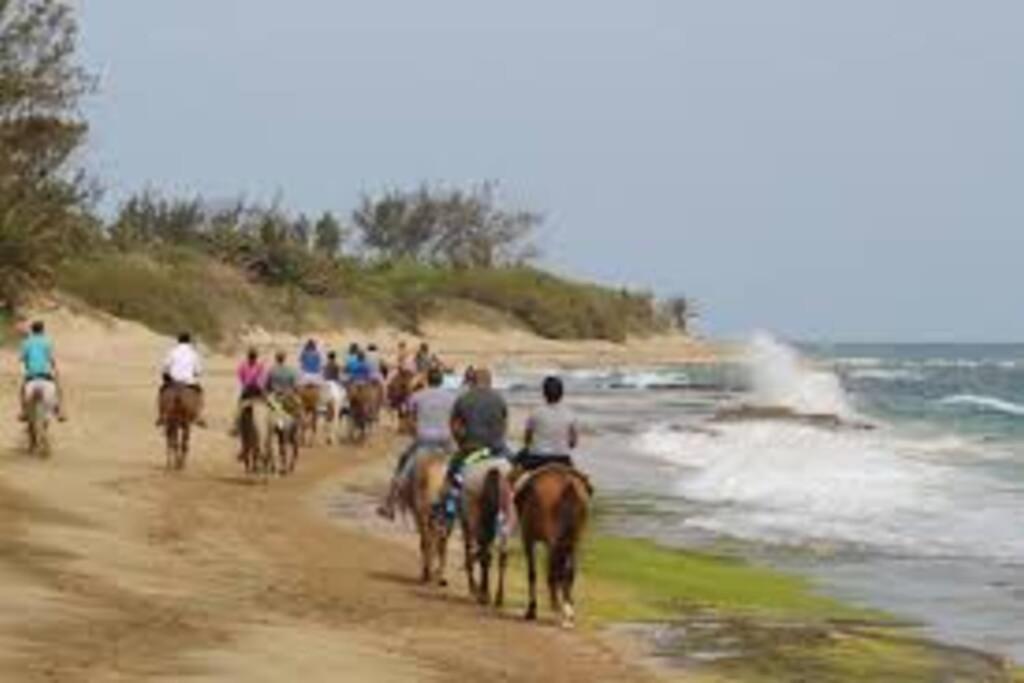 Haudimar Ph Beachfront Apt 4Br/3Bath Isabela Bagian luar foto